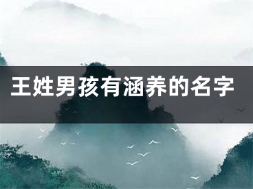 王姓男孩有涵养的名字