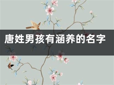 唐姓男孩有涵养的名字