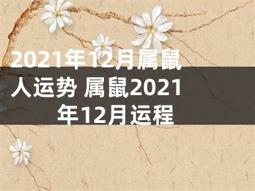 2021年12月属鼠人运势 属鼠2021年12月运程