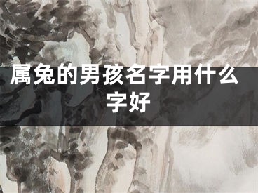 属兔的男孩名字用什么字好