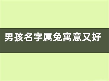 男孩名字属兔寓意又好