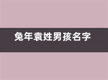 兔年袁姓男孩名字