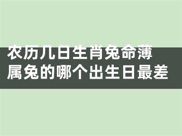 农历几日生肖兔命薄 属兔的哪个出生日最差