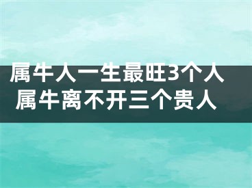 属牛人一生最旺3个人 属牛离不开三个贵人