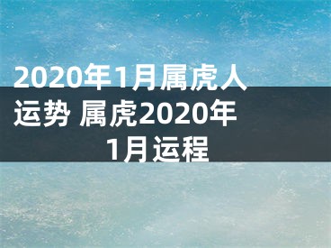 2020年1月属虎人运势 属虎2020年1月运程