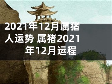 2021年12月属猪人运势 属猪2021年12月运程