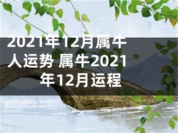 2021年12月属牛人运势 属牛2021年12月运程