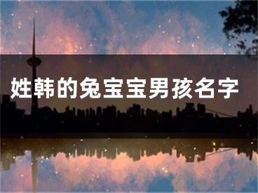 姓韩的兔宝宝男孩名字