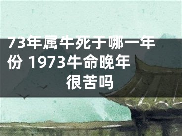 73年属牛死于哪一年份 1973牛命晚年很苦吗