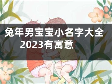 兔年男宝宝小名字大全2023有寓意