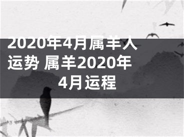 2020年4月属羊人运势 属羊2020年4月运程