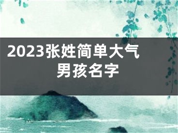 2023张姓简单大气男孩名字