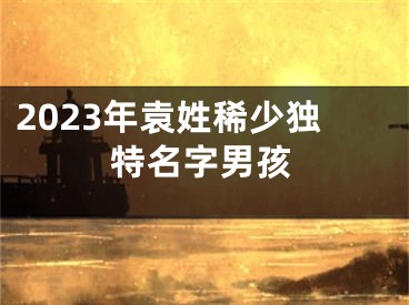 2023年袁姓稀少独特名字男孩