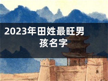 2023年田姓最旺男孩名字