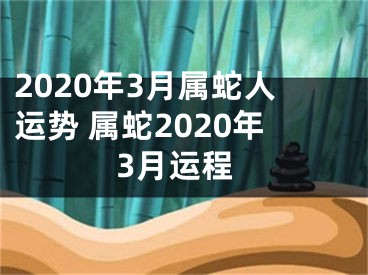 2020年3月属蛇人运势 属蛇2020年3月运程