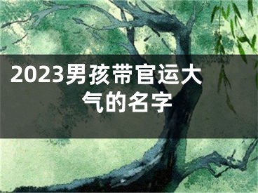 2023男孩带官运大气的名字