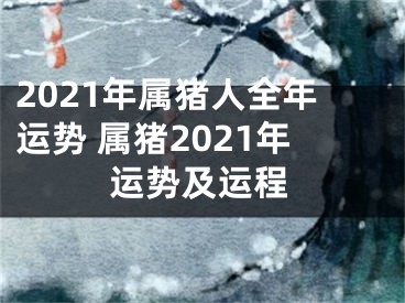 2021年属猪人全年运势 属猪2021年运势及运程