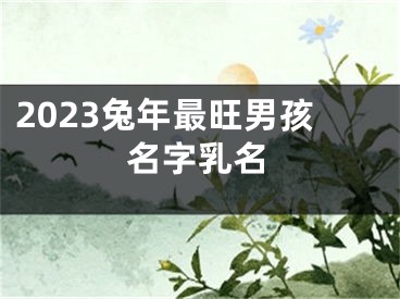 2023兔年最旺男孩名字乳名