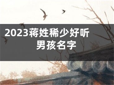 2023蒋姓稀少好听男孩名字