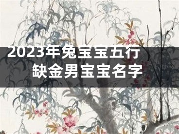 2023年兔宝宝五行缺金男宝宝名字