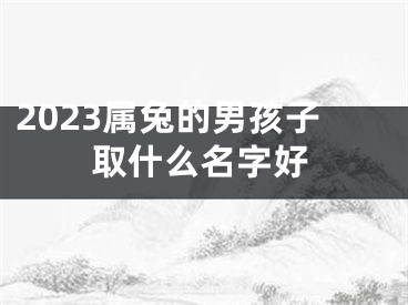 2023属兔的男孩子取什么名字好