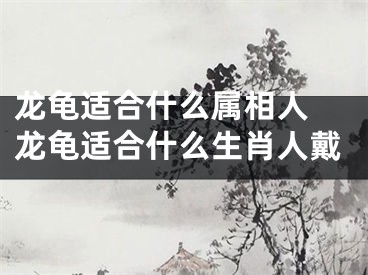 龙龟适合什么属相人 龙龟适合什么生肖人戴