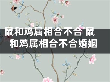 鼠和鸡属相合不合 鼠和鸡属相合不合婚姻