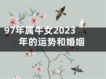 97年属牛女2023年的运势和婚姻