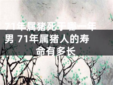 71年属猪死于哪一年男 71年属猪人的寿命有多长