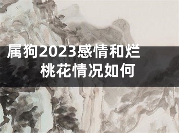 属狗2023感情和烂桃花情况如何