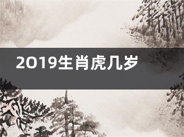 2O19生肖虎几岁