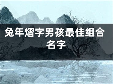 兔年熠字男孩最佳组合名字