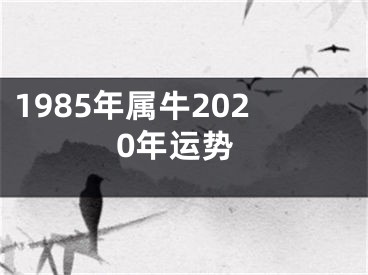 1985年属牛2020年运势