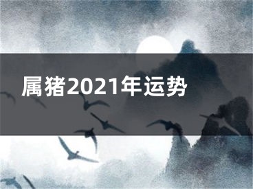 属猪2021年运势