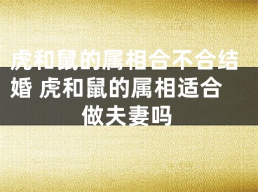 虎和鼠的属相合不合结婚 虎和鼠的属相适合做夫妻吗