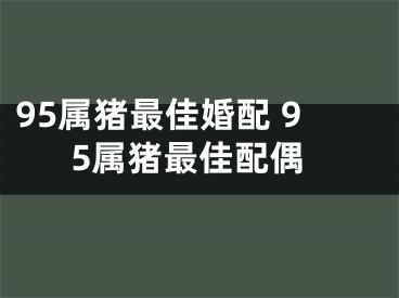 95属猪最佳婚配 95属猪最佳配偶