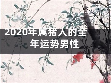 2020年属猪人的全年运势男性