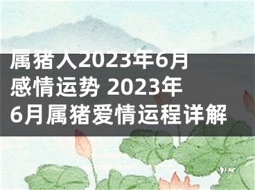 属猪人2023年6月感情运势 2023年6月属猪爱情运程详解