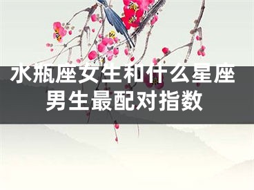 水瓶座女生和什么星座男生最配对指数