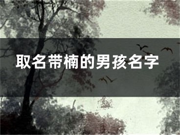 取名带楠的男孩名字