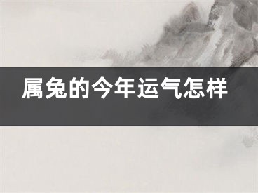 属兔的今年运气怎样