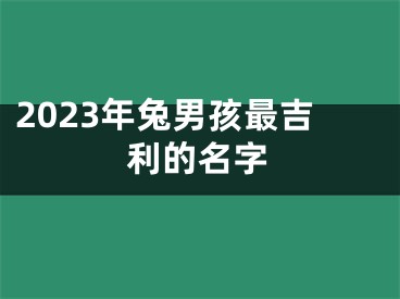 2023年兔男孩最吉利的名字