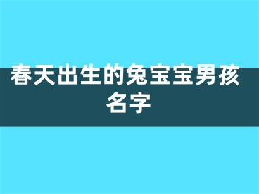 春天出生的兔宝宝男孩名字