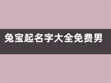 兔宝起名字大全免费男