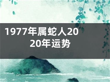 1977年属蛇人2020年运势