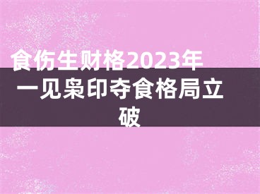 食伤生财格2023年 一见枭印夺食格局立破