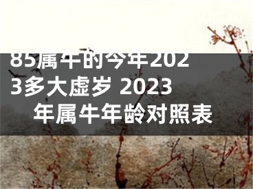 85属牛的今年2023多大虚岁 2023年属牛年龄对照表