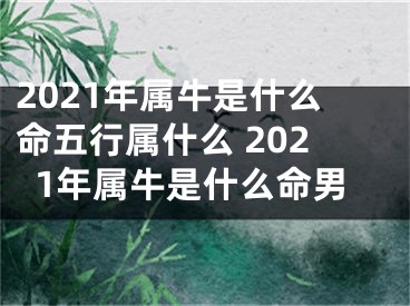 2021年属牛是什么命五行属什么 2021年属牛是什么命男