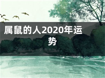 属鼠的人2020年运势