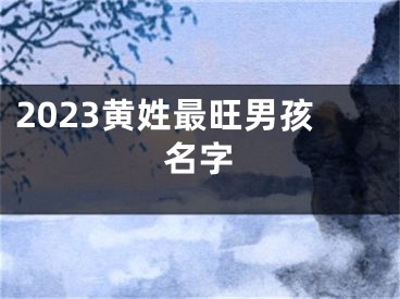 2023黄姓最旺男孩名字